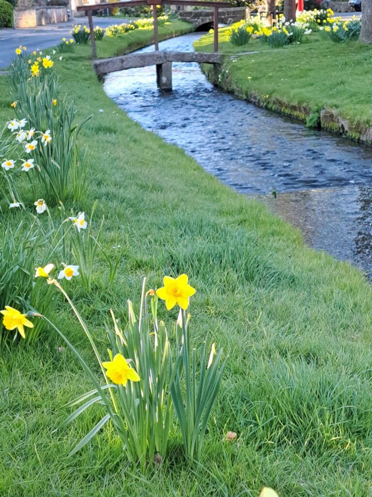 Supplements for Migraines – Along with Government and health authority information