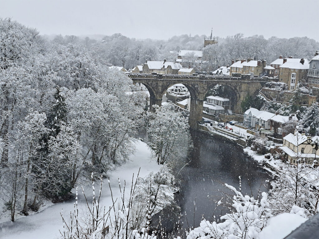 Remedies which may help Colds and Flu